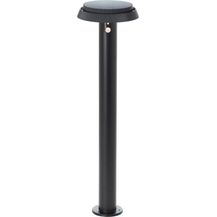 Bild für Brilliant AG Leuchten G40432-06 Alvero LED Solar Pollerleuchte mit Bewegungsmelder 70cm