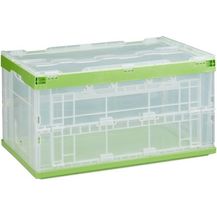 Bild für 2 x Transparente Transportbox mit Deckel 10025314