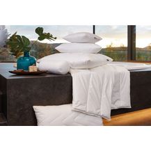 Bild für Centa-Star extra 1394.00 Aqua Aktiv Solobett