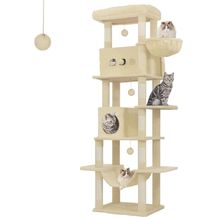 Bild für Kratzbaum groß