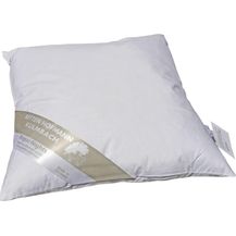 Bild für Betten Hofmann Pusta Kopfkissen 40x40 Federkissen Kleinkissen Kuschelkissen 30% Daunen 200 g