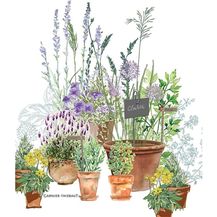 Bild für Garnier-Thiebaut Geschirrtuch Jardin Aromatique Provence 50x70 cm