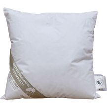 Bild für Betten Hofmann Daunenkissen Kopfkissen 40x40 150 g neue Daunen Kleinkissen Kuschelkissen prall