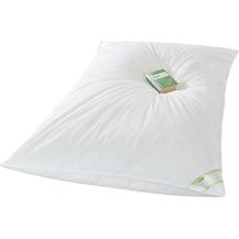 Bild für franknatur Gänsedaunenbettdecke Ballonbett 90% Daunen