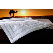 Bild für Billerbeck Sommerdecke Natur BRILLIANT LIGHT 