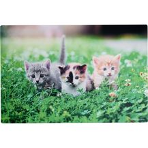 Bild für Tischset 45x30cm Flip Katze