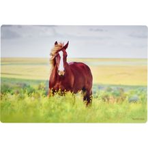 Bild für Tischset 45x30cm Flip Pferd