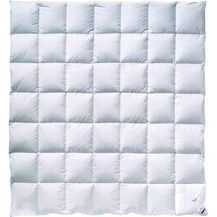 Bild für Billerbeck Daunendecke E04 Gold Edition Farbe mittel (M)