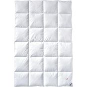 Billerbeck Daunendecke GOLD EDITION MONO | mittelwarme Ganzjahresdecke 135x200 cm