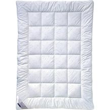 Bild für billerbeck Microfaser-Decke E21 King Uno 135x200