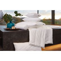 Bild für Centa-Star Ganzjahresbett