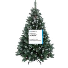 Bild für HXT 15013 Weihnachtsbaum 180 cm