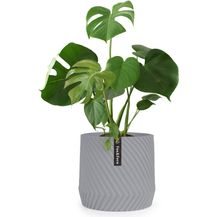 Bild für Heusden Blumentopf Polystone pflanzenfreundlich handgemacht Grau