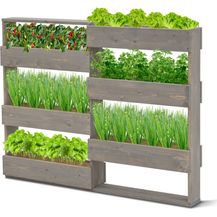 Bild für Coemo Vertikalbeet Riga Kräuterbeet Holz 7 Pflanzkästen