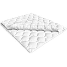 Bild für Siebenschläfer 4-Jahreszeiten Bettdecke 155x220 cm