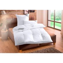 Bild für Balette 135 Jahre Federbettdecke Lena