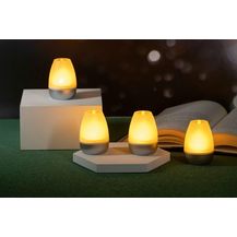 Bild für Northpoint LED Dekolicht LED Akku Lounge Lights Kabellos für Innen und Außen RGBW Flackereffekt