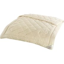 Bild für Sannwald Kamelhaar Ganzjahres-Bettdecke