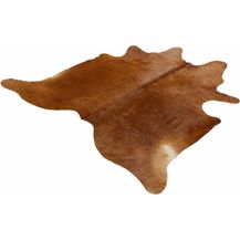 Bild für Böing Carpet Fellteppich Fell braun