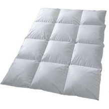 Bild für Schäfer extra warme Winter Daunendecke gefüllt mit 100% Daunen 135x200 cm