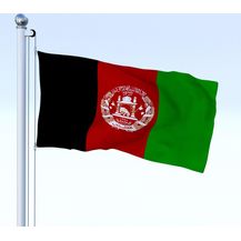 Bild für Shatchi Afganische Flagge für Cricket-Weltmeisterschaft