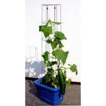 Bild für Bellissa Gurkenturm 120 cm hoch