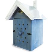 Bienenbeobachtungskasten - Habau