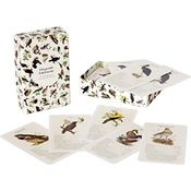 QianShouYan Eulberg Flying Gemstones - A Bird Quartet by Dominik