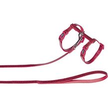 Bild für Nobby Katzengarnitur "Glamour" rot