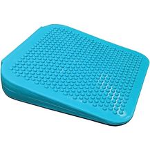 Bild für FitPAWS Balance Ramp