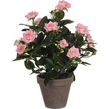 Bild für MICA Kunstpflanze