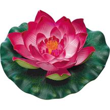 Bild für Pontec PondoLily rot Wasserblume