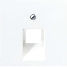 Bild für Jung 1fach Abdeckung Abdeckung Alpinweiß A569-1PLUAWW