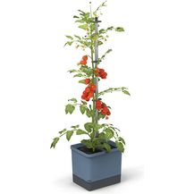 Bild für GUSTA GARDEN Tom Tomato Tomatentopf blau 