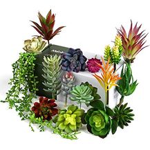 Bild für Meneco Künstliche Sukkulenten Künstliche Pflanzen