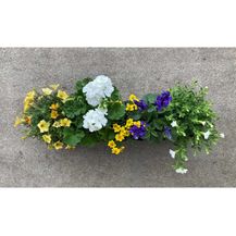 Bild für Blumixx Bags Sommerblumen 40 cm blau-weiß-gelb Sonne