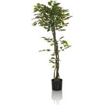 Bild für hjh OFFICE Kunstpflanze Lemon Deko Pflanze künstlich 135 cm