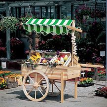 Bild für Promadino Marktwagen mit Baldachin weiß/grün