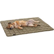 Bild für Doctor Bark Pointer 