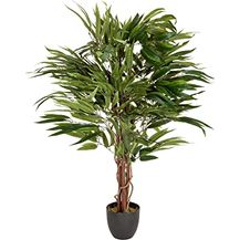 Bild für hjh OFFICE Kunstpflanze Mango Höhe 130 cm Grün 588 Blätter große Zimmerpflanze Mangobaum Topfpflanze Baum künstlich