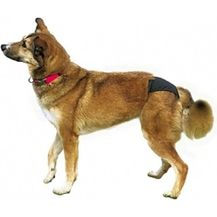 Bild für Trixie Schutzhöschen