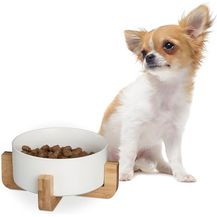 Bild für Relaxdays Hundenapf Keramik