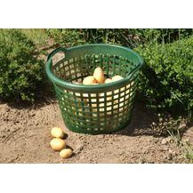 Bild für Floraworld Gartenkorb 31 l