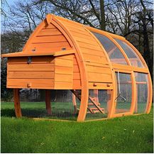 Bild für Zooprinz Hühnerstall Superhenne, XXL Freilaufgehege aus massivem Kiefernholz, wetterfest, 172x102x76 cm (BxHxT)