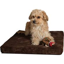 Bild für TrendPet VitaMedog