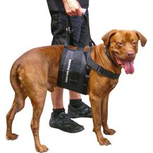Bild für Schecker Hunde-Sicherheitsgeschirr Beppo® Hunde Gehhilfe One-Size