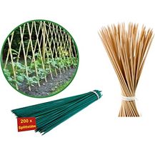 Bild für Pflanzstäbe 25 bis 180 cm Natur o. Grün Pflanzen Stütze Rankhilfe Splittstäbe Holzstab Bambus Stab Bambusstäbe Bambusstange Pflanzen Stütze Alu