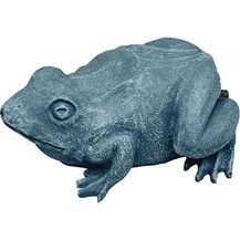 Bild für Oase Wasserspeier Frosch