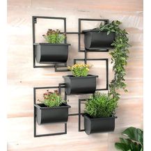 Bild für DanDiBo Kräuterregal Küche Wand Metall Schwarz 96525 Wandregal Blumenregal Pflanzenhalter Wandblumenhalter Modern