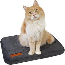 Bild für SCHLITZOHR Katzen Fensterbankliege Teddy 